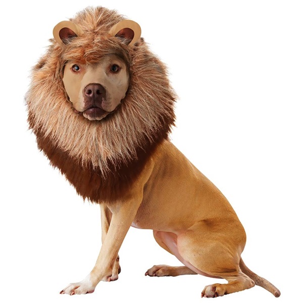 [해외]사자머리 Large/Animal Planet Lion Dog Costume - Large