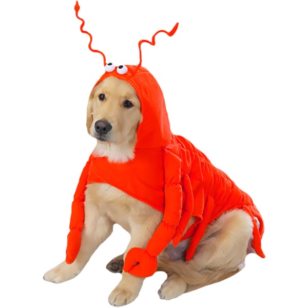 [해외]Casual Canine Lobster Costume - XSMALL