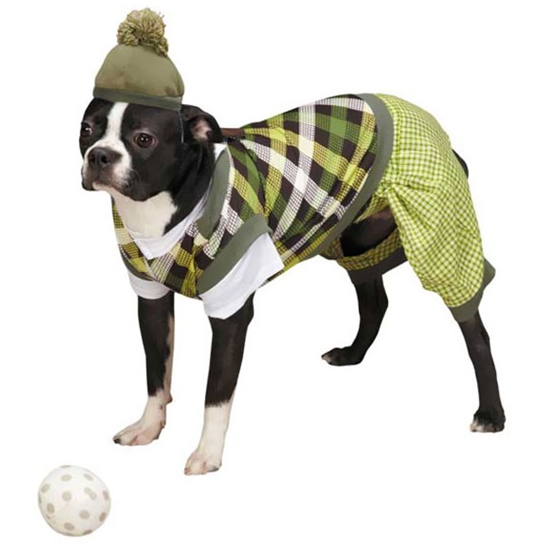 [해외]Casual Canine Putter Pup Costume - SMALL