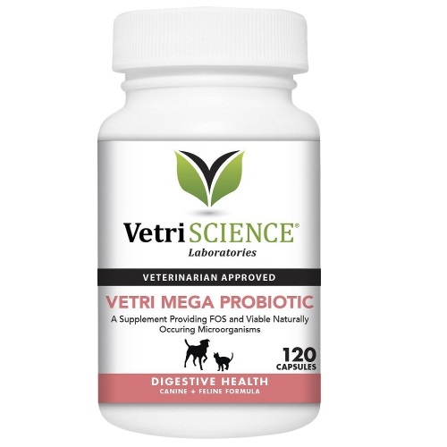 [해외] 베트리사이언스 유산균 (120캡슐)/VetriScience Vetri-Mega Probiotic (120 Caps)