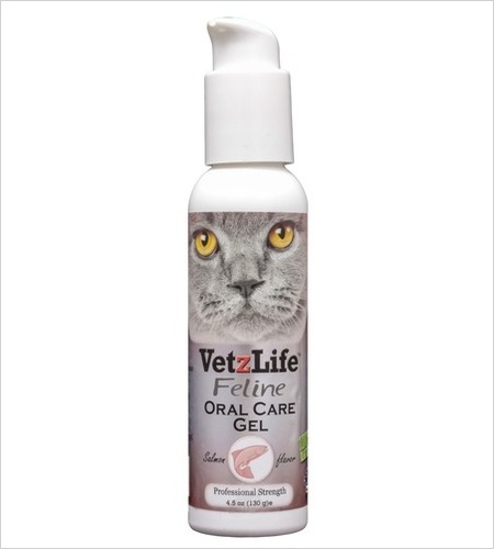 [해외]베츠라이프 고양이용 4.5oz (2021.11) / 배송지연  VetzLife Feline Oral Care Gel