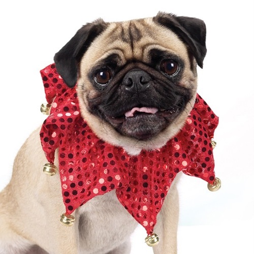 [해외]Aria Red Shimmer Scrunchy Collar For Dogs 13-16 Inch