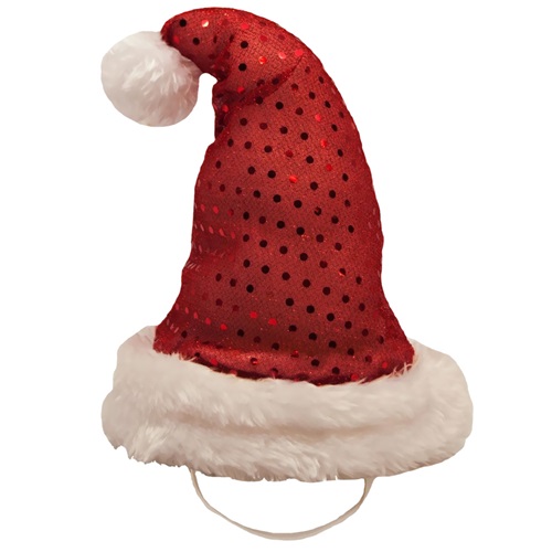 [해외]Kyjen Holiday LED Santa Hat - Medium
