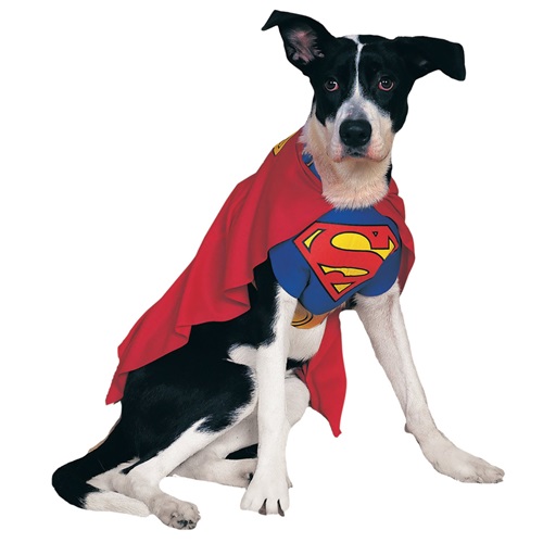 [해외]슈퍼맨(XL)Superman Dog Costume - XLarge