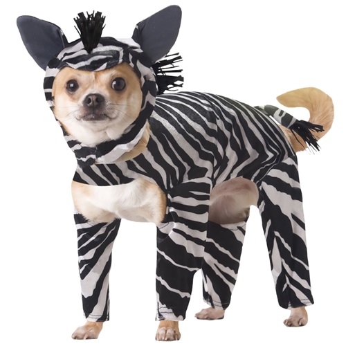 [해외]Animal Planet Zebra Dog Costume - Large