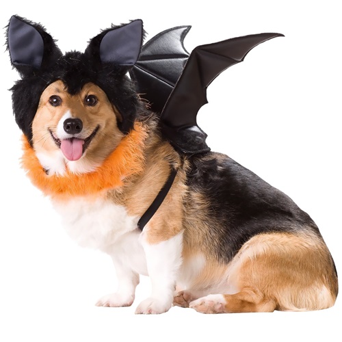 [해외]Animal Planet Bat Dog Costume - Small