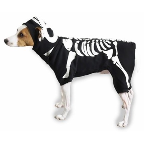 [해외]Casual Canine Glow Bones Costume - Multiple Sizes