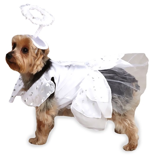 [해외]Casual Canine Angel Paws Costume - SMALL