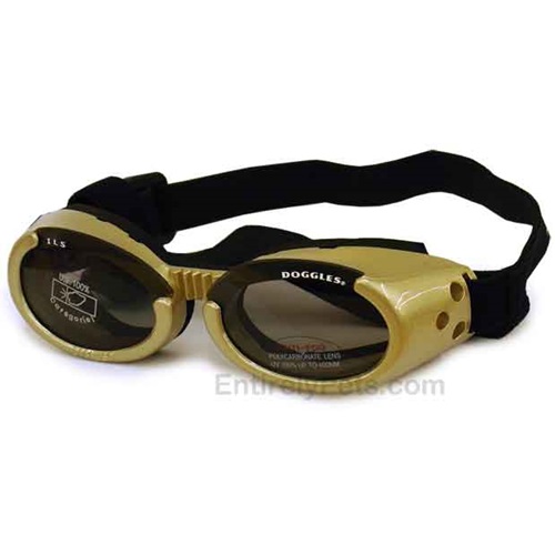 [해외]도글라스(도글스) ILS 골드 Doggles ILS - Interchangeable Lens System - Gold Frame/Smoke Lens