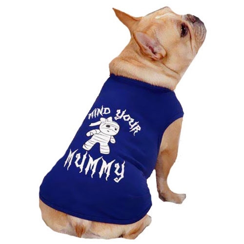 [해외]Casual Canine Mind Your Mummy Tee Blue - SMALL
