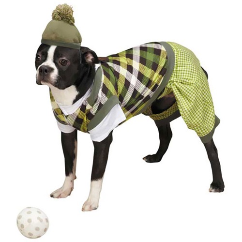 [해외]Casual Canine Putter Pup Costume - X-LARGE