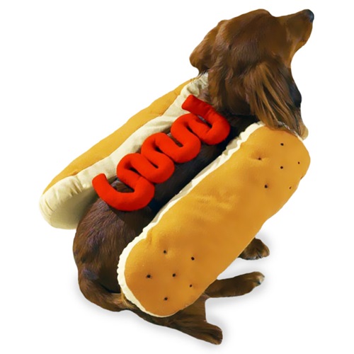 [해외]Casual Canine Hot Diggity Dog Costume Ketchup - LARGE