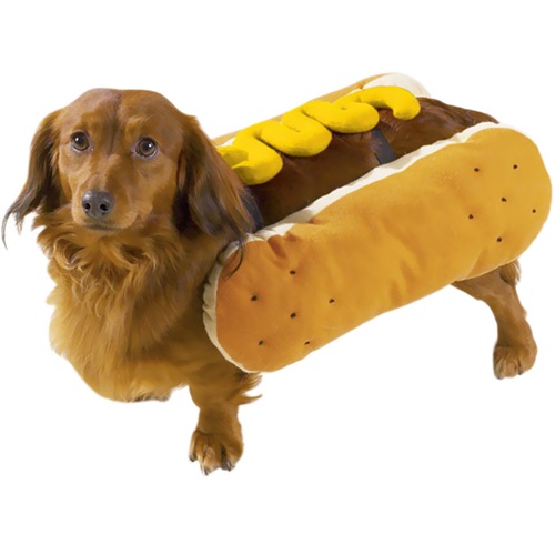[해외]Casual Canine 핫도그 머스타드 코스튬 Hot Diggity Dog Costume Mustard - SMALL