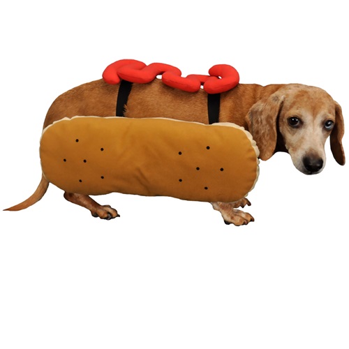 [해외]핫도그 케찹 코스튬 Otis and Claude Fetching Fashion Hot Diggity Dog Costume Ketchup
