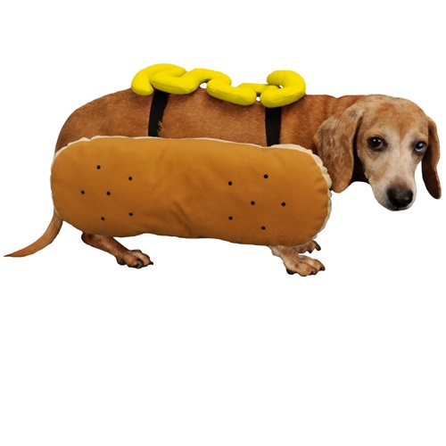 [해외]핫도그 머스타드 코스튬  Otis and Claude Fetching Fashion Hot Diggity Dog Costume Mustard