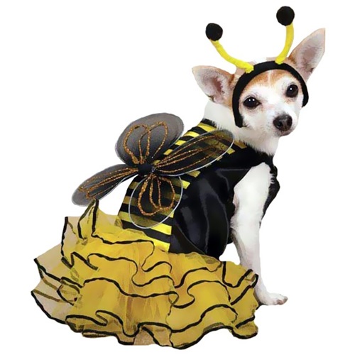[해외]Bee Mine Dog Costume Yellow - XSMALL