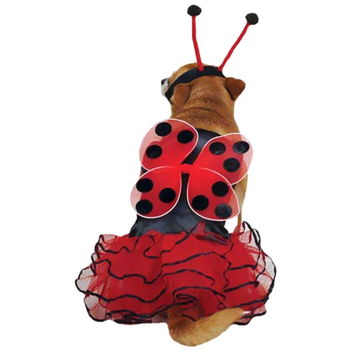 [해외]Casual Canine Lucky Bug Costume Red - XSMALL