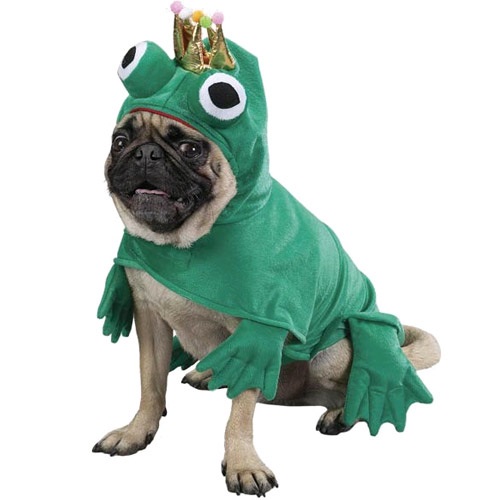 [해외]Prince Of Frogs Costume - XSMALL