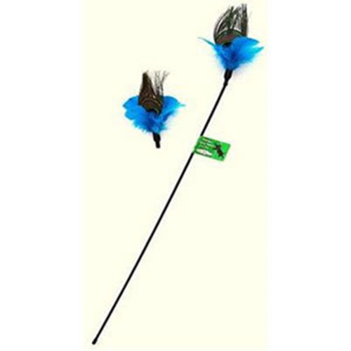 [해외]PURRfect Peacock Feather