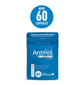[해외] 안티놀 고양이용(60캡슐) / 관절영양제