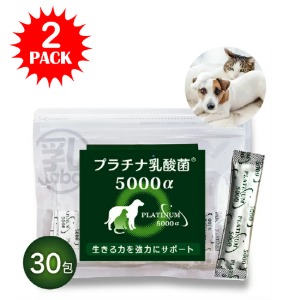 [해외] 프라치나 유산균 (60포)/반려동물 유산균 일본 구매대행